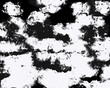 © bluebellivy - 白と黒のペイント風抽象的背景　模様