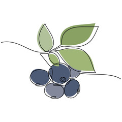 Vector line continuous blueberry branch with leaves. Hand drawn outline illustration. Linear berries silhouette icon. Garden plant. Minimal design, print, banner, card, brochure, logo, menu.