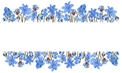hepatica blue spring flowers banner, frame. watercolor illustration isolated on white background