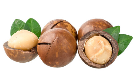 Wall Mural - Macadamia nuts isolated on white background