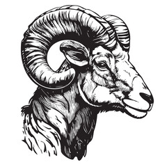 ram portrait hand drawn sketch vector illustration farm animals