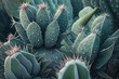 Realistic Cacti Illustration, Close Up.