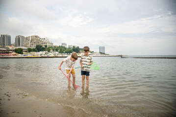 Wall Mural - Two sibling little brother boy exploring the beach at low tide walking towards the sea coast. Friendship happy childhood concept