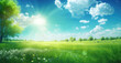 Beautiful meadow field with fresh grass and white flowers in nature against a blurry blue sky with clouds. Summer spring green natural landscape. Generative ai