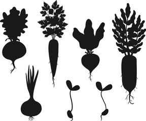 Wall Mural -  various types Vegetables isolated vector Silhouettes
