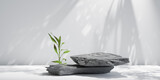rock podium for product presentation. Natural beauty pedestal, relaxation and health, 3d illustration