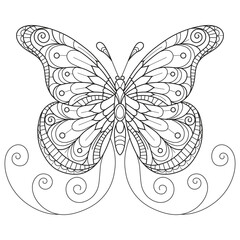 Wall Mural - Butterfly hand drawn for adult coloring book