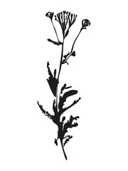 Aufkleber - Botanical illustration. Vector silhouette of a plant, branch, twig, grass, herb or flower. Isolated black drawing on white background.