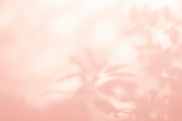 Fototapete - Leaf shadow and light on wall pink background. Nature tropical leaves tree branch and plant shade with sunlight from sunshine on white wall texture for background wallpaper, shadow overlay effect
