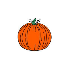 Sticker - summer squash pumpkin vegetarian