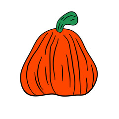 Sticker - summer squash pumpkin vegetarian 