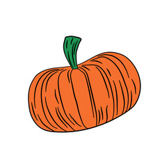 Sticker - summer squash pumpkin vegetarian 