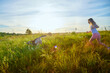 © keleny - A pretty blonde girl having fun with big dog shephers in a meadow on a natural landscape with grass and flowers on a sunny summer day. Portrait of a teenage child in summer or spring outdoors on field