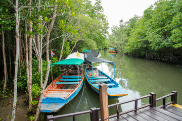 Sticker - THAILAND PRACHUAP HUA HIN PRANBURI MANGROVES