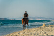  mężczyzna na koniu nad plaży