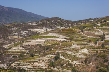 Canvas Print - Terrace fields near Omodos village in Troodos Mountains on Cyprus island country