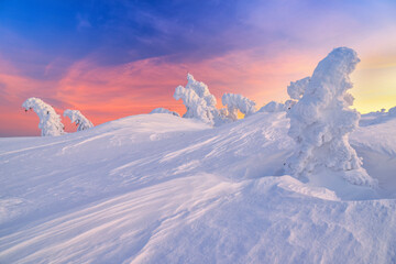 Wall Mural - beautiful winter landscape with trees covered with snow