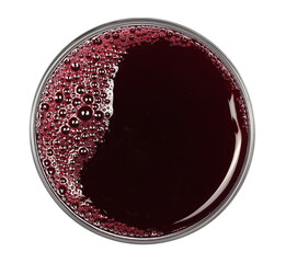Wall Mural - Blueberry juice with bubbles in glass cup isolated on white, top view