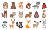 Fototapeta Fototapety na ścianę do pokoju dziecięcego - Set of wild forest animals. Cute baby hedgehog, bear, squirrel, wolf, raccoon, hare, mole, deer vector illustration