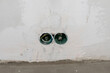 © Studiomiracle - Installation box for sockets in a concrete wall, wiring