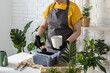 © satura_ - Gardening home. Woman replanting and watering green plant from watering can in home. Potted green plants at home, home jungle, floral decor. Florist shop concept