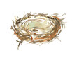 © Catherine - Watercolor spring bird nest illustration, Easter clipart. Create Easter greeting card, egg hunt, flyer, frame, wreath, chaplet, wedding invitation, stationery, save the date, print,poster, pattern