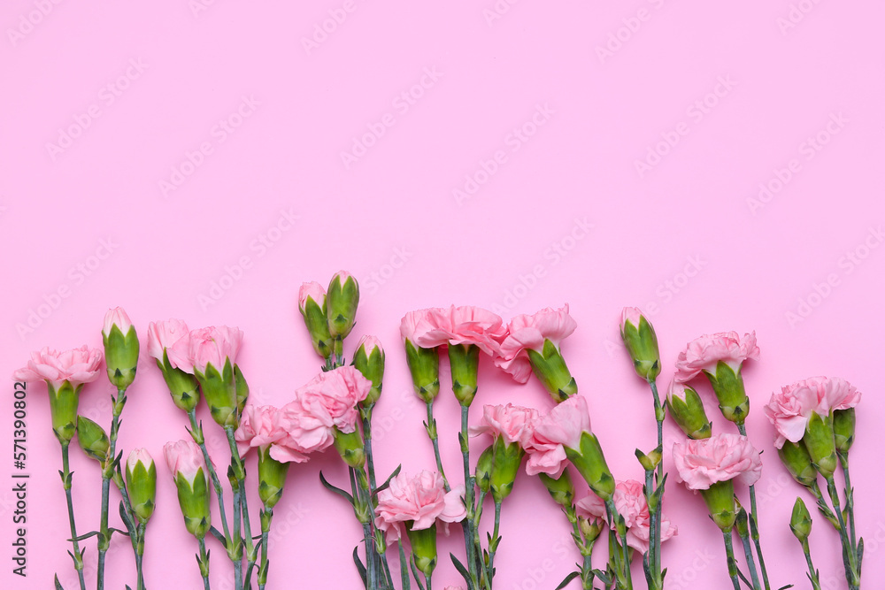 Beautiful carnation flowers on color background. Women's Day celebration