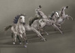 cheval, équitation, animal, cavalier, cow-boy, chevauchée, amoureux des chevaux, à cheval, jockey, sport, atteler, gris, galop, dressage, étalon, illustration