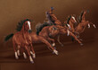 cheval, équitation, animal, cavalier, cow-boy, chevauchée, amoureux des chevaux, à cheval, jockey, sport, atteler, brun, galop, dressage, étalon, illustration