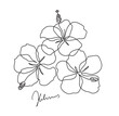 Beautiful hibiscus flower. Line art concept design. Continuous line drawing. Three blooming flowers. Vector illustration