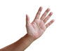 Male hand in waving gesture, saying hello. Front view of the palm. Isolated.