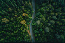 driving through the green summer forest, road going through the woods, aerial top view, generative ai	