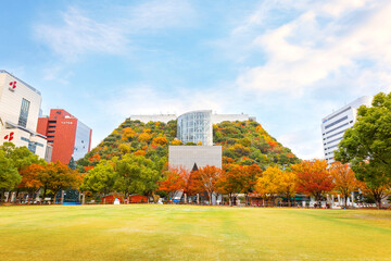 Canvas Print - Fukuoka, Japan - Nov 21 2022: ACROS Fukuoka is a conventional office building with a huge terraced of a park. The garden reaches 60 meters above the ground