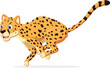 © ROFIDOHTUL - Cartoon happy cheetah running on white background