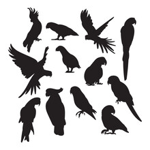 Parrot Birds Silhouette Set For Cutting, Stencil Templates