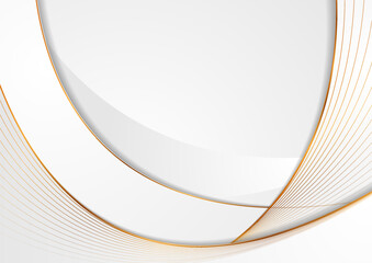 Grey waves and golden curved lines abstract background. Vector design