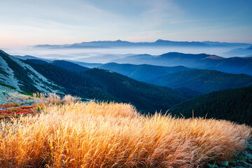 Affiche - Breathtaking view of mountain ranges and peaks in the morning light. Carpathian mountains, Ukraine.