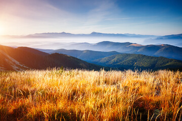 Autocollant - Breathtaking view of mountain ranges and peaks in the morning light. Carpathian mountains, Ukraine.