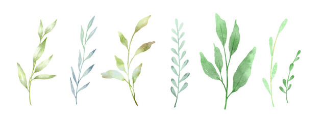 watercolor green flower branch, leaf, plant elements. vector botanical collection of delicate foliag