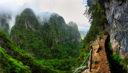 Poster - Jungle in Madeira island - Views from the trekking trail on the cliffs at Levada do Caldeirao Verde, Queimadas, Portugal