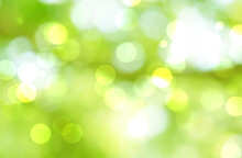 Green Bokeh Abstract Background Blur