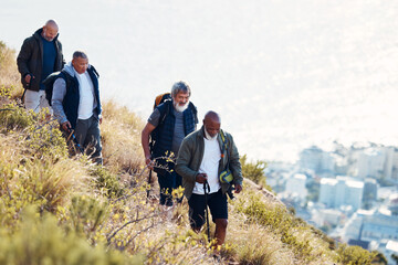 Wall Mural - Group, senior and men hiking or trekking on mountain in Cape Town for exercise, workout or fitness. Team, teamwork and elderly people training outdoors in nature for an adventure, explore and health