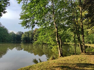 Lake view among lush trees in forest. The reflection of green trees on pond shows beauty of nature. nature landscape in forest