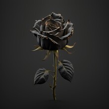 Beautiful Gothic Black Rose Decorative Art Illustration Generative Ai