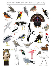 North American Birds Set Cartoon Vector Character 7