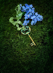 Wall Mural - beautiful vintage key and blue forget me not flowers on dark moss natural abstract background. spring summer season. magical key, symbol of secret garden. secrecy, mystique concept