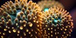 Macro shot on hammer LPS coral polyps. Generative AI