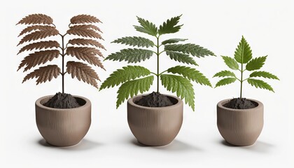 Poster -  a group of three potted plants sitting next to each other on top of a white surface with a plant in the middle of the pot.  generative ai