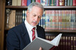 © Minerva Studio - Businessman reading a book in his library