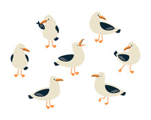 Cute Seagull Characters Set. Isolated On White Background. Cartoon Hand Drawn Vector Illustration.
